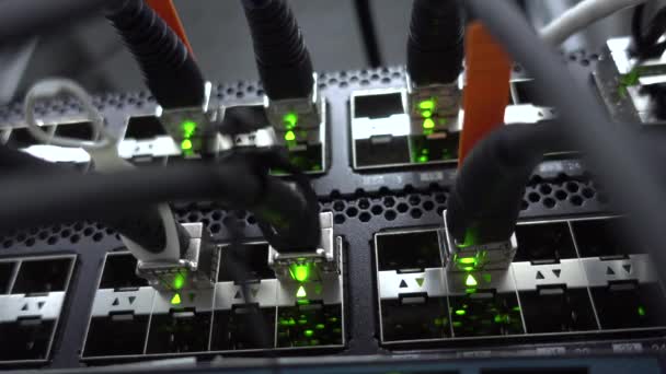 Vista de perto dos cabos Ethernet conectados ao roteador — Vídeo de Stock