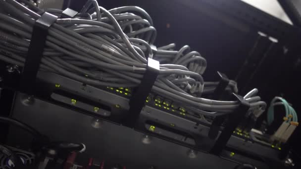 带电缆的现代网络交换机。闪烁的服务器灯、交换机、路由器. — 图库视频影像