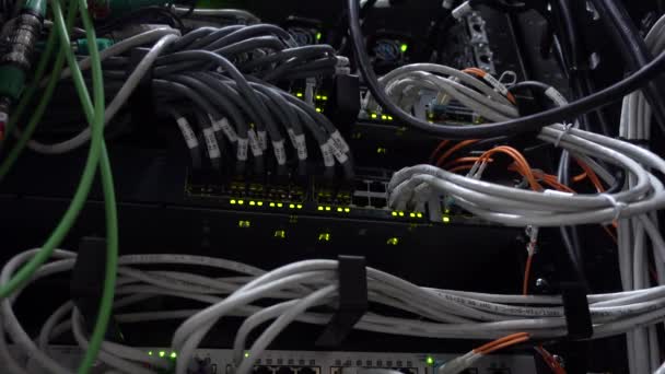 Cables Utp Gran estante del servidor. Conexión de cable de red en conmutador Gigabit de red . — Vídeos de Stock