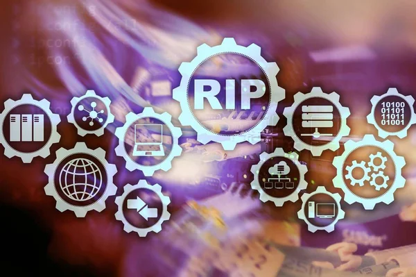 RIP Routing Information Protocol. Technologienetwerken. — Stockfoto