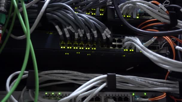 El conmutador. luces intermitentes. Computadora Severs en un rack en el gran centro de datos — Vídeo de stock