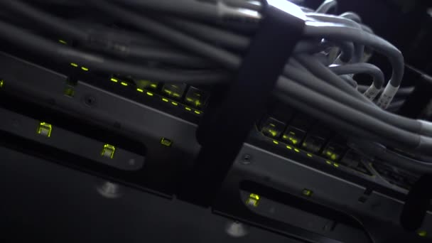 케이블이 있는 최신 네트워크 스위치. 하단 보기. — 비디오