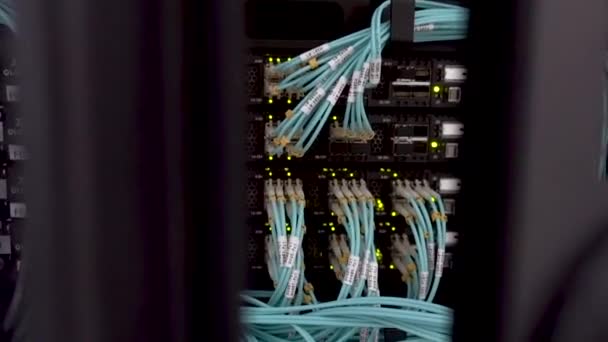 Pohled otevřenými dveřmi serverového regálu. Telekomunikační server s blikajícími světly — Stock video