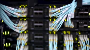 Fiber optik mavi kablo raftaki ethernet anahtarına bağlanıyor.