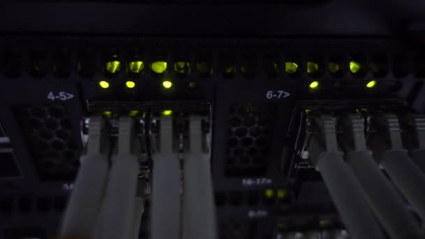 Netwerk gigabit switch en UTP poort. Knipperen Led. — Stockvideo