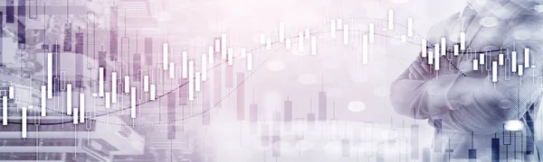Financial Stock Market Graph. Website Economic Banner.
