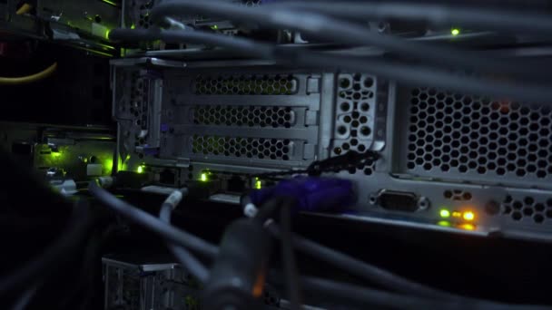 Proveedor moderno de conmutadores de red con cables. — Vídeos de Stock