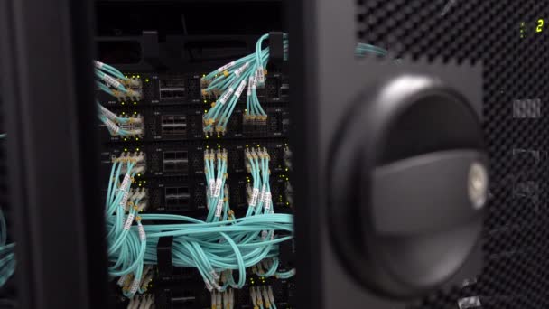 Ряды оптических кабелей в стойке мигающего сервера. — стоковое видео