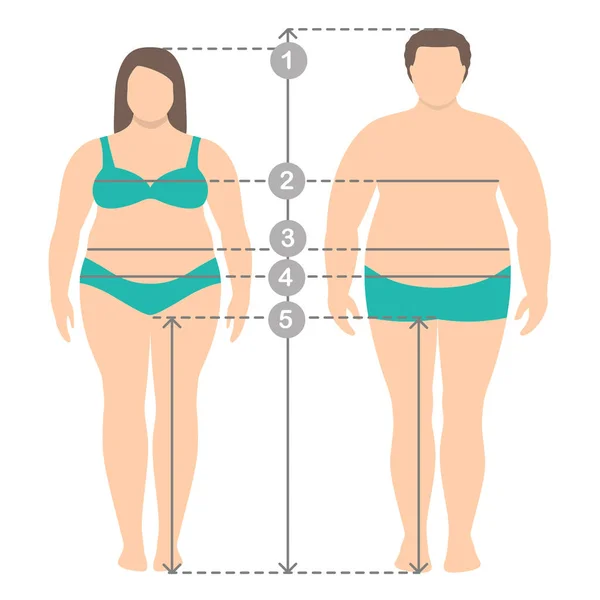 体のパラメーターの測定ラインと太り過ぎの男性と完全な長さで女性のイラスト 男性と女性の服のプラスのサイズ測定 人体計測とプロポーション — ストックベクタ