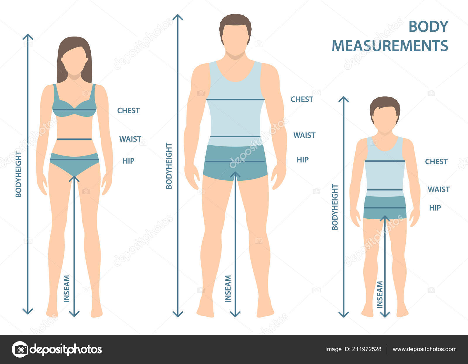 Woman Body Measurement Chart Scheme Measurement Stock Vector