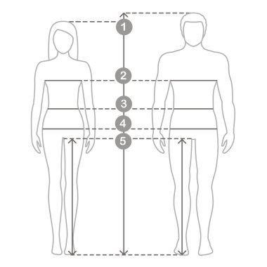 Vektör kontur çizim erkek ve kadınlarda tam uzunlukta gövde parametrelerini ölçüm satır ile. Adam ve kadın boyutları ölçümleri. İnsan vücudu ölçümleri ve oranlar.