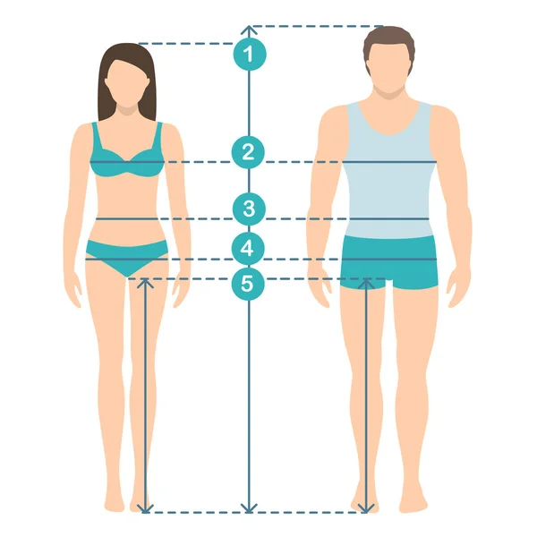 Vectorillustratie van man en vrouw in volle lengte met meting lijnen van lichaamsparameters. Man en vrouw maten metingen. Menselijk lichaam maten en verhoudingen. Platte ontwerp. — Stockvector