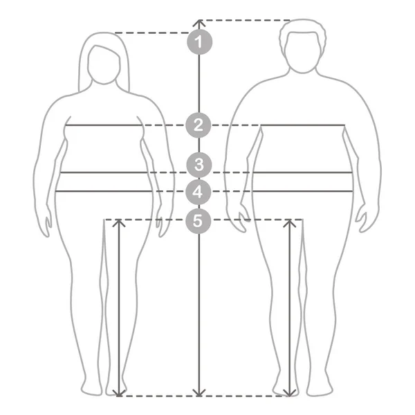 Konturerna av övervikt man och kvinnor i full längd med mätning rader kroppsparametrar. Man och kvinnor kläder plus storlek mätningar. Kroppsmått och proportioner. — Stock vektor