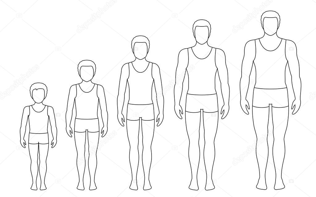 Man's body proportions changing with age. Boy's body growth stages. Vector contour illustration. Aging concept. Illustration with different man's age from baby to adult. European men flat style.