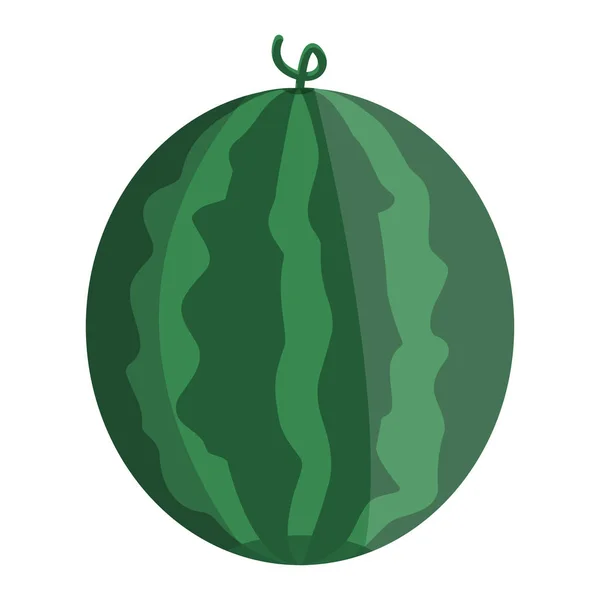 Fruto de melancia de verão — Vetor de Stock