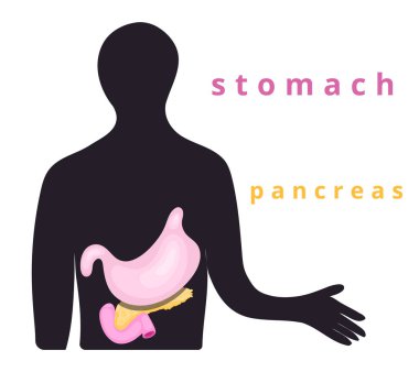 insan vücudu organı