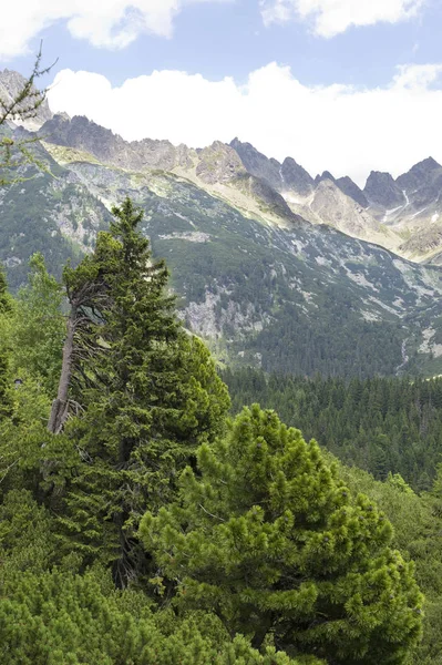 Picos Rochosos Montanhas Tatra Distância Eslováquia — Fotografia de Stock