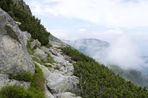 Sentiero Roccioso Nella Montagna Tatra Slovacchia Mattina Nebbiosa — Foto Stock