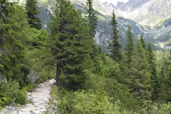 Sentier Rocheux Balisé Rouge Dans Les Montagnes Tatra Slovaquie — Photo