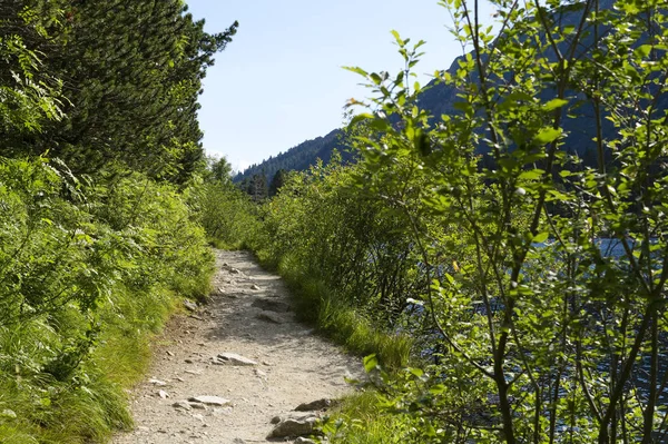 Pad Rond Popradske Pleso Tatra Gebergte Slowakije — Stockfoto