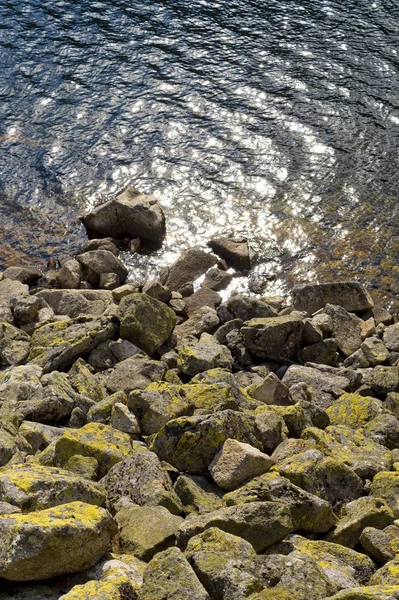 Stralend Water Rotsen Met Korstmossen Detail Van Popradske Pleso — Stockfoto