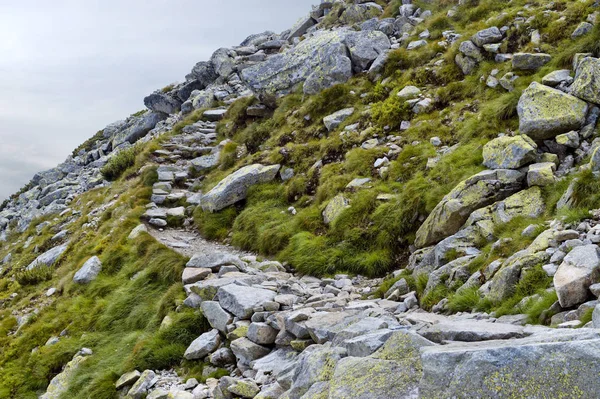 Sentiero Roccioso Montagna Velka Svistovka Montagne Tatra Slovacchia — Foto Stock