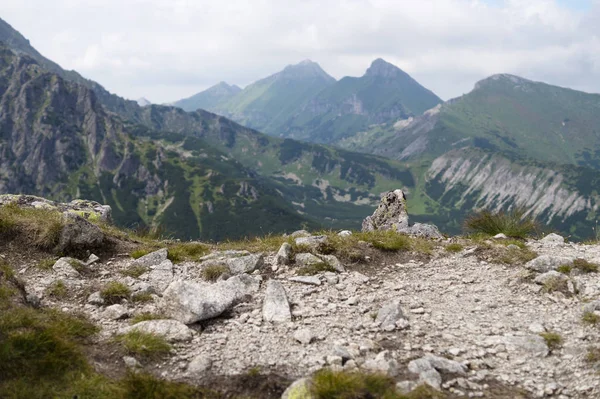 Зелений Tatra Гірські Вершини Далечині Вид Гірських Гірський Масив Велика — стокове фото