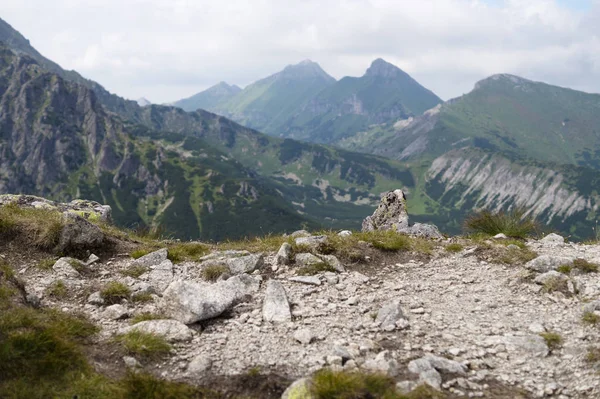 Green Tatra Mountain Peaks Distance View Mountain Velka Svistovka Slovakia — Stock Photo, Image