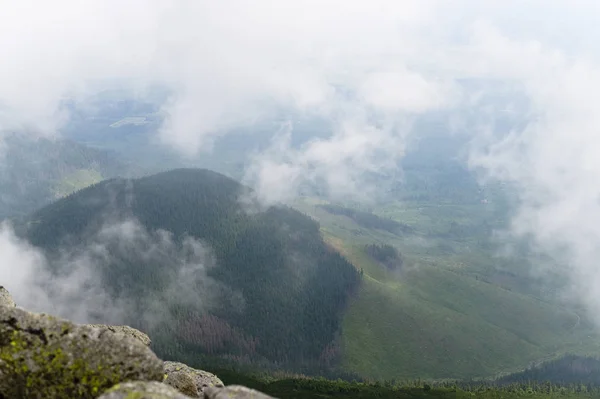 Vue Montagne Vallée Dans Les Montagnes Tatra Slovaquie Foggy Matin — Photo