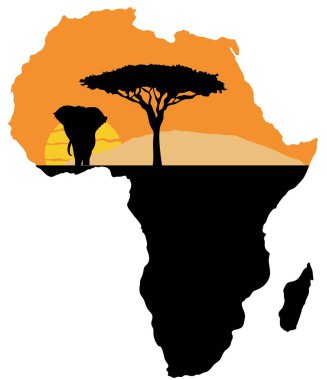 Batan güneşin ve Kilimanjaro'nun arka planına karşı bir fil