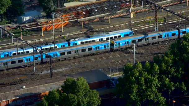 Поезда Comeng Идущие Железнодорожному Пути Через Станцию Flinders Street Station — стоковое видео