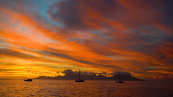リーフと島の楽園タヒチ南太平洋からモーレア島のヨットの熱帯ポリネシア黄金夕焼けビュー — ストック動画