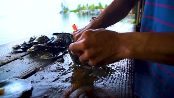 Male Worker Extracting Preparing Cultivation Pearls Traditional Culture Industry Islands — Stock Video