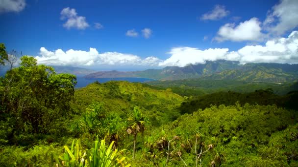 Ocean Bay Lush Green Vegetation Volcanic Rock Mountains Remote Exotic — Stock Video