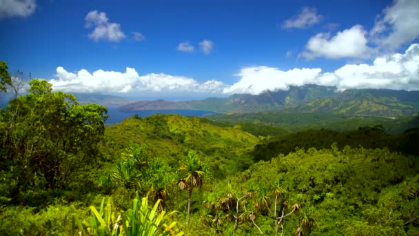 Bahía Del Océano Exuberante Vegetación Verde Montañas Roca Volcánica Lugar — Vídeo de stock