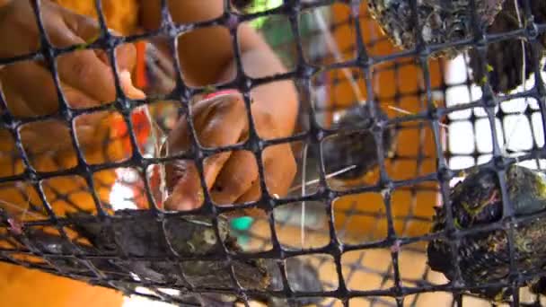 Trabalhador Taitiano Prepara Rede Ostras Para Cultivo Pérolas Negócio Comercial — Vídeo de Stock