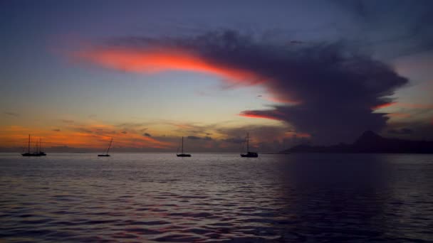 Moorea Панорамою Заходу Сонця Таїті Полінезійські Рай Яхти Тропічному Острові — стокове відео