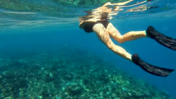Молодой Дайвер Женщина Пловец Водой Маской Подводного Плавания Прозрачных Океанских — стоковое видео