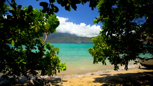 Polynéském Ráji Tahuata Opuštěné Ocean Beach Bujnou Vegetací Sopečné Horniny — Stock video
