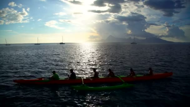 Polynesiska Tahitian Outrigger Bemannade Kanot Paddlade Hanar Sunset Moorea Island — Stockvideo
