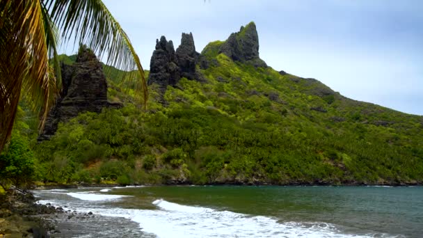 緑豊かな緑の海湾パームの木海波人けのないビーチ 南太平洋 Hatiheu ヒバオア マルケサス諸島で楽園ポリネシアの宝石のリモートの場所での表示 — ストック動画