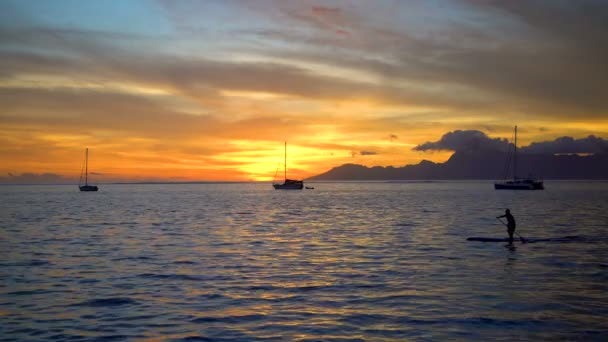 Embarque Masculino Océano Frente Tahití Atardecer Una Vista Paradisíaca Isla — Vídeo de stock