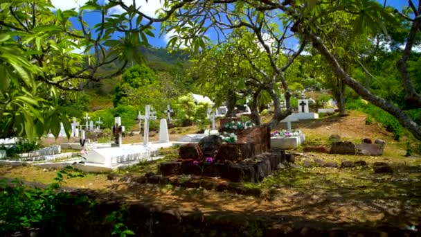 Marquesas Polinésia Francesa Março 2018 Gravestone Túmulo Paul Gauguin Famoso — Vídeo de Stock