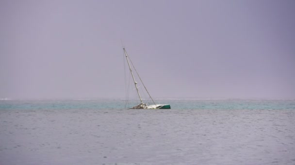 トロピカル リーフ タヒチ南太平洋の南洋群島で沈没台風後大破したヨットのビュー — ストック動画