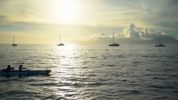 Vista Del Outrigger Tahitiano Polinesio Canoa Tripulada Remada Por Hembras — Vídeo de stock