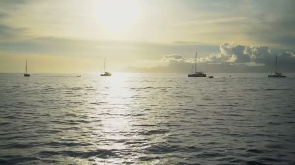 Gente Esquiando Océano Frente Tahití Atardecer Una Vista Paradisíaca Isla — Vídeo de stock