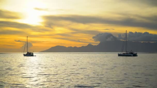 Vue Polynésienne Des Yachts Coucher Soleil Île Tropicale Paradis Moorea — Video