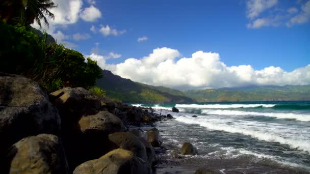 Taaoa Hiva Oceano Baía Exuberante Vegetação Verde Montanhas Local Exótico — Vídeo de Stock