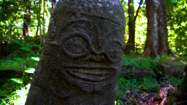 Vista Estátua Rocha Tiki Sorridente Encontrada Remota Ilha Pacífico Floresta — Vídeo de Stock