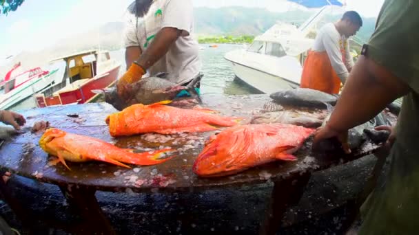 Marquesas Polinesia Francesa Marzo 2018 Vista Los Machos Del Pueblo — Vídeos de Stock